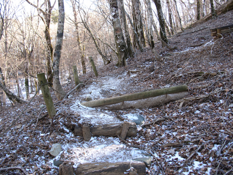 20181214hike (248)